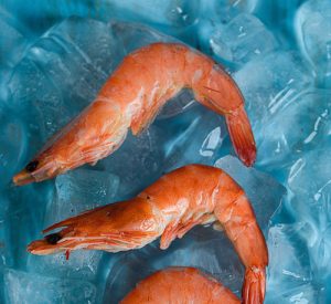 Fresh Shrimp on Ice - Unsplash