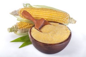 Cornmeal in bowl with scoop and corn on the cob