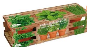 Indoor Herb Garden Grow Kit Giveaway